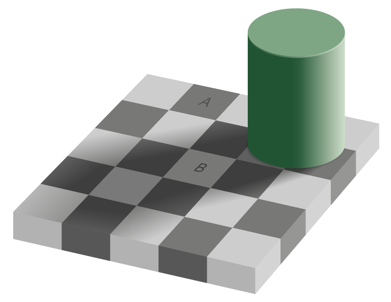 illusion puzzle